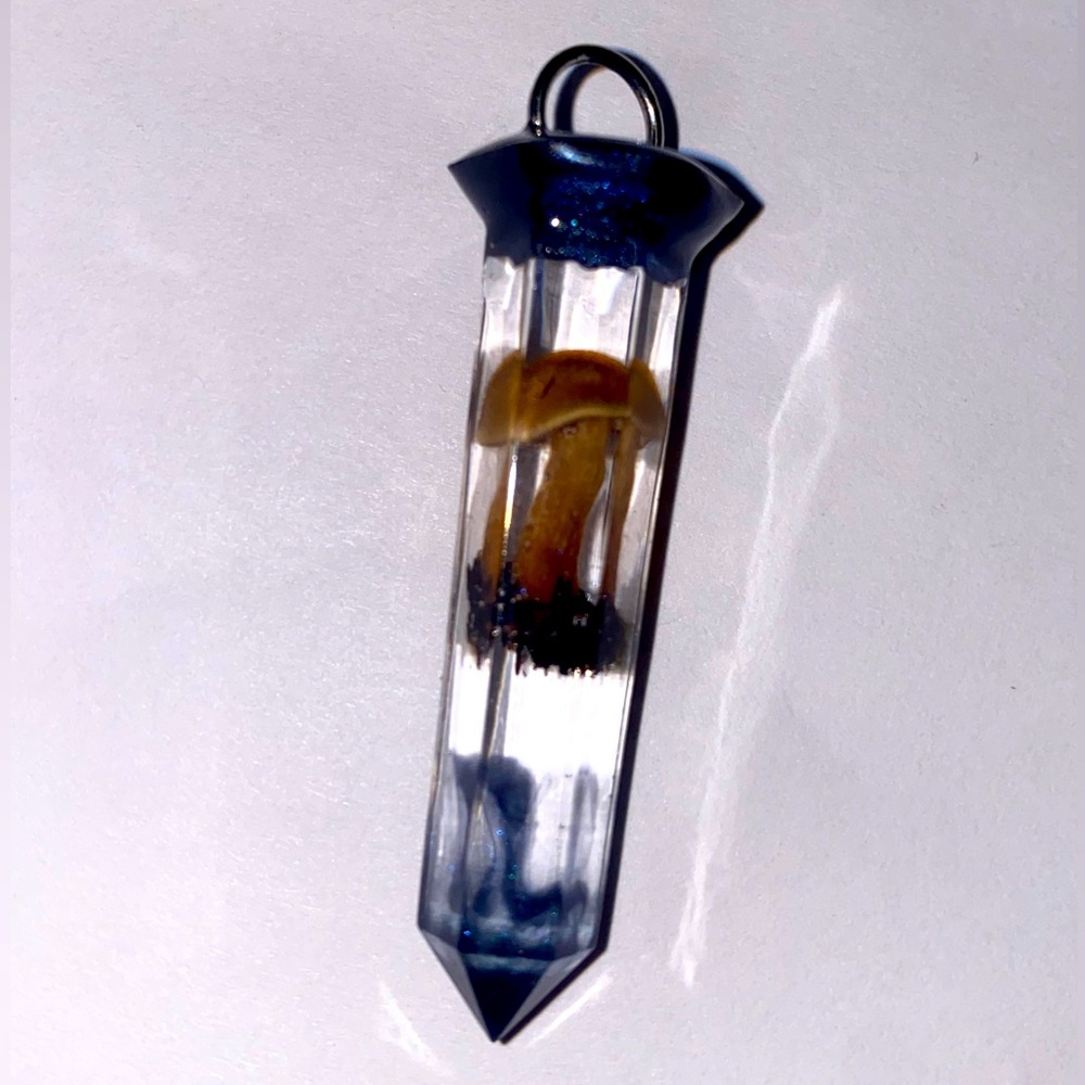 Light brown mushroom with dark blue mica powder on either end.